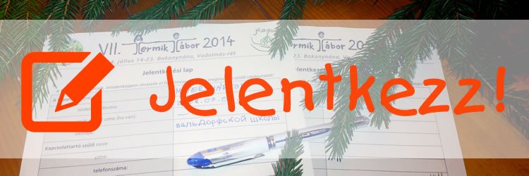 Így jelentkezz a TERMIK-be 2014-ben!