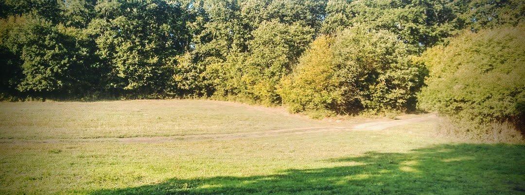 Közlemény: TERMIK Tábor helyszínváltozás