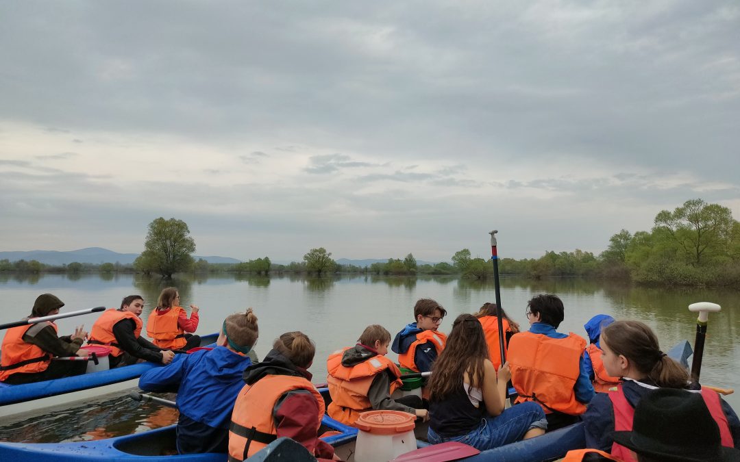 TERMIK Évközi Találkozó, 2023 tavasz Bodrogzug